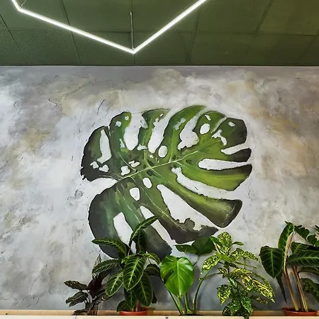 Cynamon Hostel *